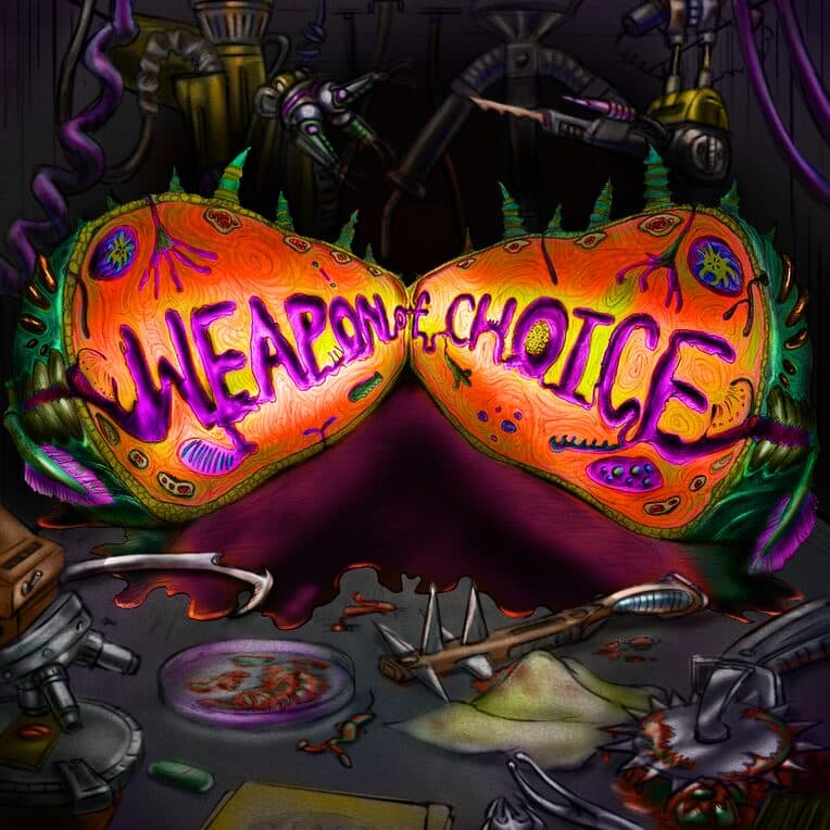اکانت قانونی PS4 Weapon of Choice DX ظرفیت ۲ و ۳